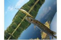 Megabass - Воблер Vision Oneten Plus 1 110 m champagne kinkuro - фотография пользователя