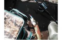 Сумка Markfish Minibag camo - фотография пользователя