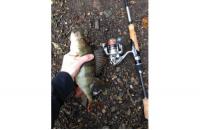 Daiwa - Спиннинг Air Edge 692LS - фотография пользователя
