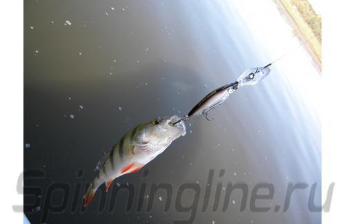 Воблер Hardcore Shad 50SP PHSH - фотография загружена пользователем 3