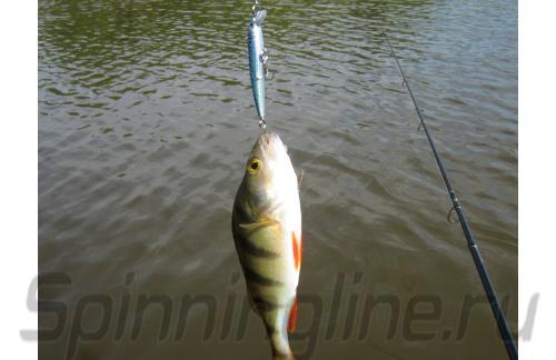 Воблер Pins Minnow BM - фотография загружена пользователем 2