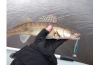 Lucky John - Приманка Minnow 84/T05 - фотография пользователя