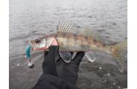 Lucky John - Приманка Minnow 84/T05 - фотография пользователя