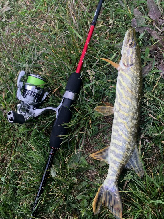 Су астындағы секс