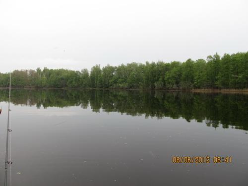 Изображение 1 : Лесные Озера Владимирской области.