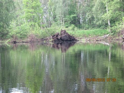 Изображение 1 : Лесные Озера Владимирской области.