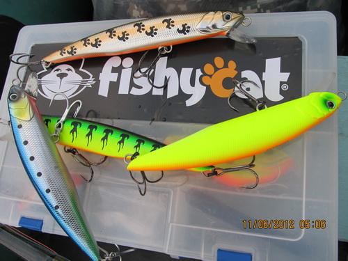 Изображение 1 : Fishycat- первые испытания.