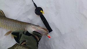 Изображение 1 : Мои любимые "LJ" для зимней рыбалки