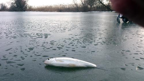 Изображение 1 : Январский выезд в Дельту или Рыбалка в Астрахани зимой