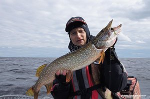 Изображение 1 : Трофеи Daiwa 2013. Отчет.