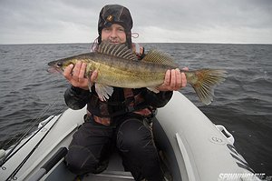 Изображение 1 : Трофеи Daiwa 2013. Отчет.