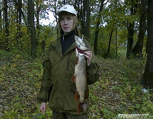 Изображение 1 : "Калашников" от Norstream