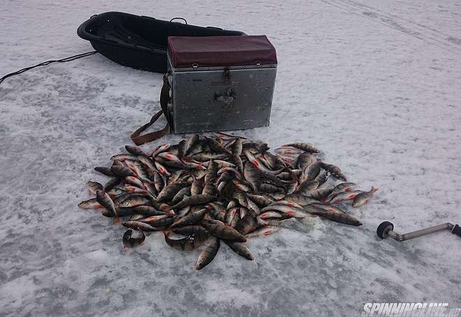 Рыбалка финский залив отчеты