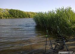 р.Кирпили