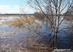 Разливы