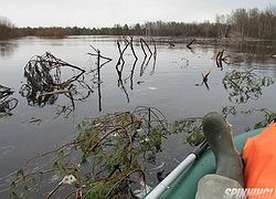 Экстримальный сплав