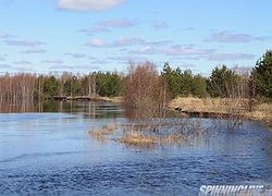 Разливы