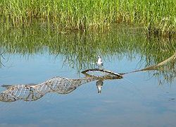 DSCN1695_800x600