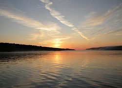 DSCN2551_800x600