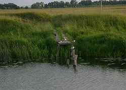 DSCN2550_800x600