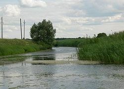DSCN2625_800x600