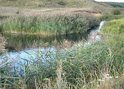 DSCN2699_800x600