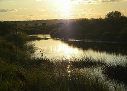 DSCN2706_800x600