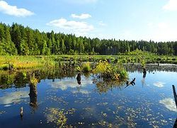 Красивейшие пейзажи.