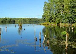 Красивейшие пейзажи.