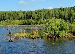 Красивейшие пейзажи.