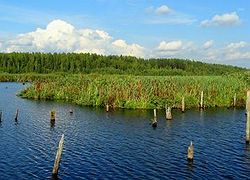 Красивейшие пейзажи.