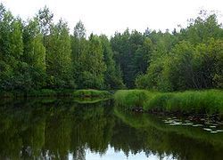 Красивейшие пейзажи.