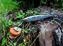 Flash Pointer 115