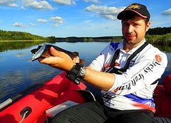 Творение Stacy King'a сроботало