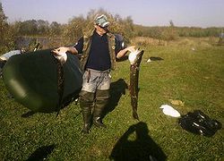 IMG_20150927_140709