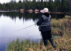 img047