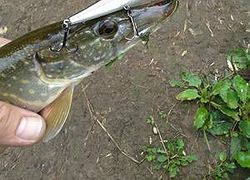 Megabass Oneten