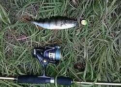 WP_20150805_20_01_45_Pro