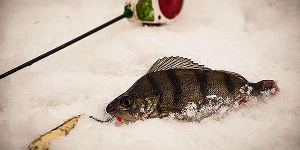  'Последняя зимняя рыбалка'