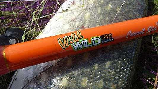  'Обор удилища Carrot Stix Wild Wild Pro 701MH.'