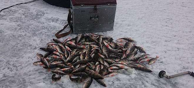  'Отчёт о рыбалке на Финском заливе - Последний лёд 2017 - 2.'