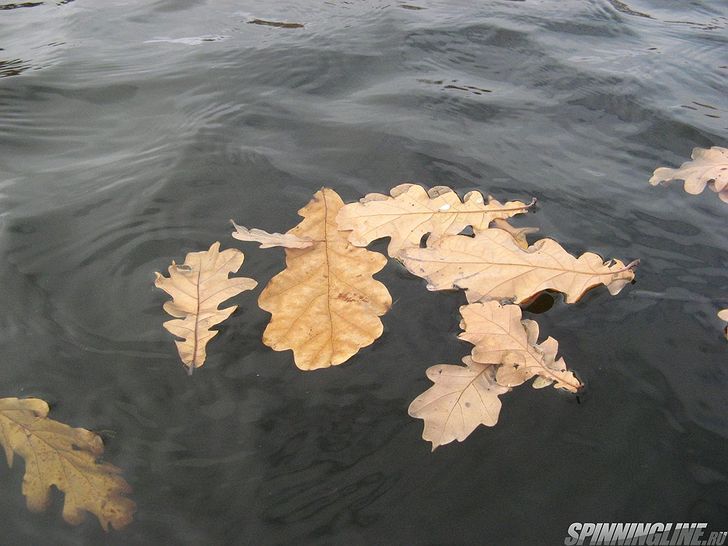 Изображение 1 : Осенняя рыбалка