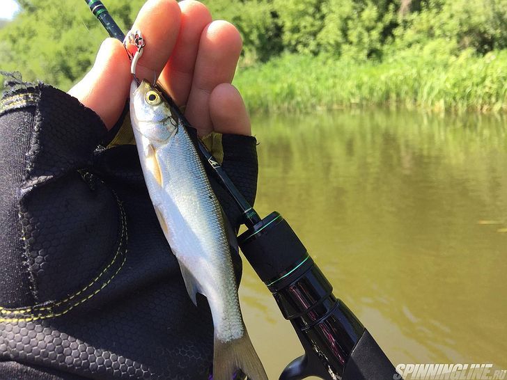 Air, sv lures