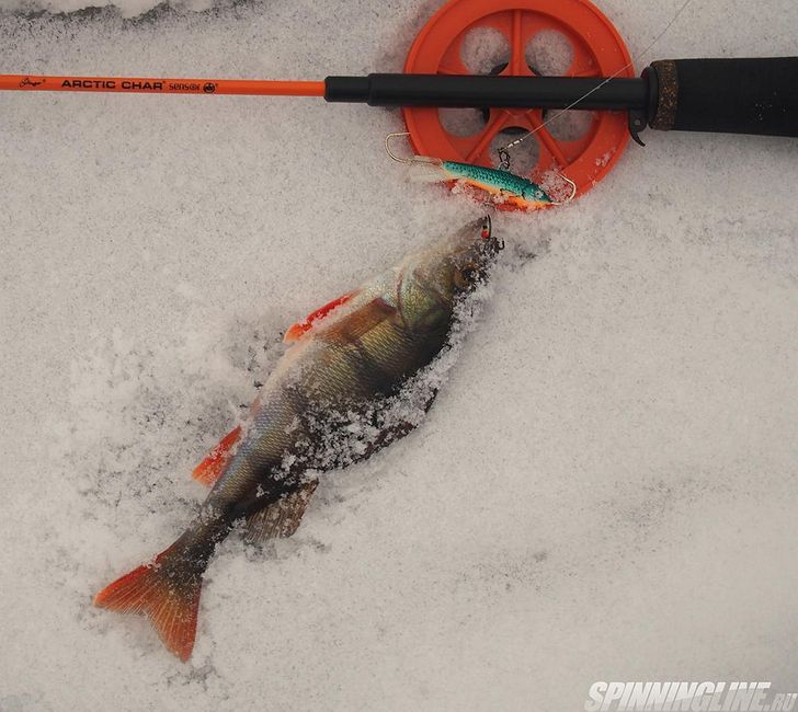Изображение 1 : Короткая рыбалка на маленьком "Байкале" с Lucky John Classic 4