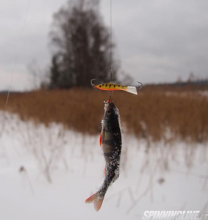 Изображение 3 : Короткая рыбалка на маленьком "Байкале" с Lucky John Classic 4