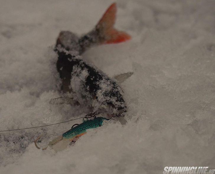 Изображение 9 : Короткая рыбалка на маленьком "Байкале".