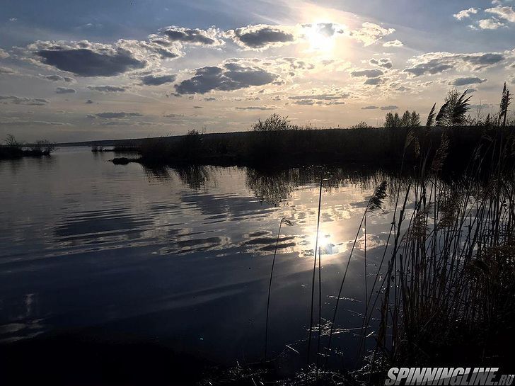 Изображение 6 : Городская рыбалка с поплавком.