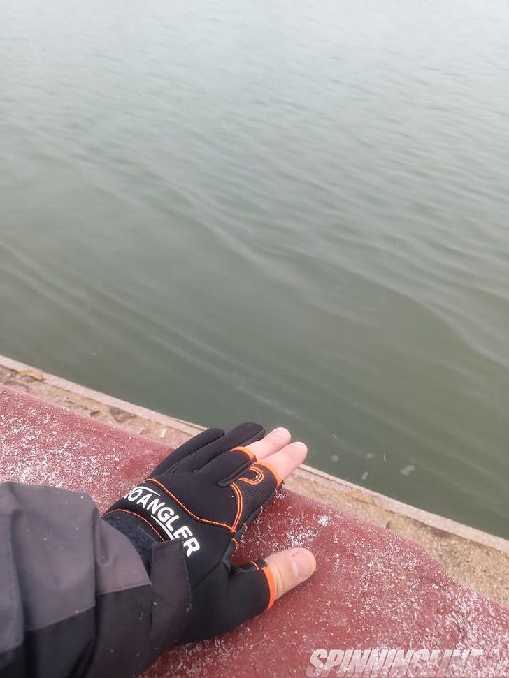 И если предыдущие перчатки были все такие мрачные, темные, то вот перчатки Norfin Pro Angler 3 Cut Gloves призваны внести разнообразие в столь мрачную картину