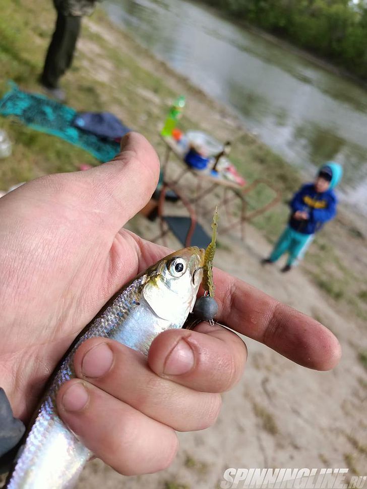 Хотя и речка не самая маленькая, да и ловля не под ногами, однако эта таракашка смогла найти свою рыбу