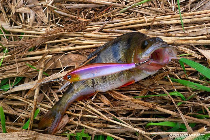 Изображение 9 : Hardcore Minnow Flat 70SP. Один из лучших Yo-Zuri/Duel